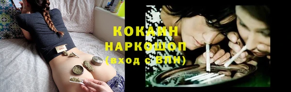 дурь Осташков